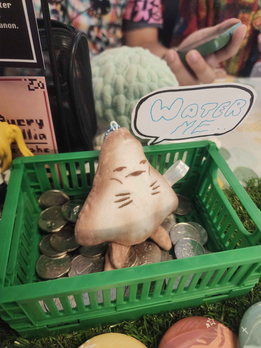 kiwi! (still unbeatablepilled) tweet media