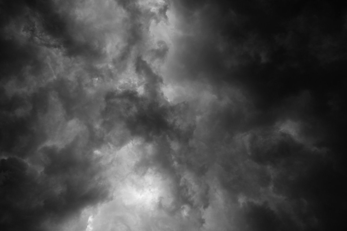 p8703 tweet media
