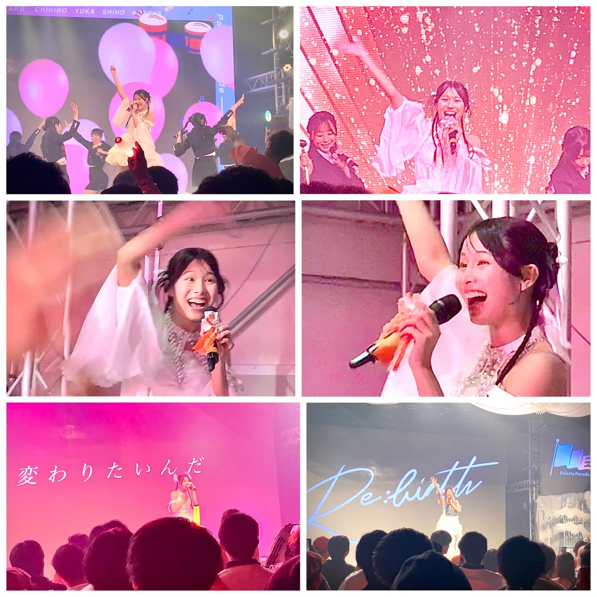 寅次郎🐬(とらじろう)🌷🐻 👶🏻🍓 (@torajiro333) / Posts / X