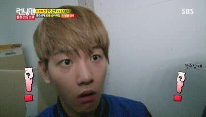 푸댕이 tweet media