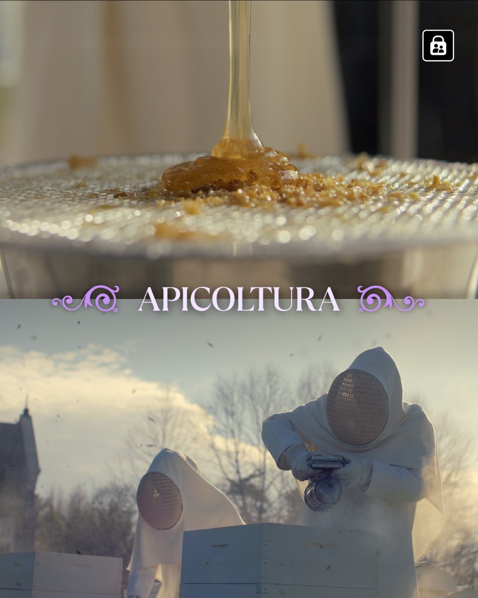 Disney+ IT tweet media