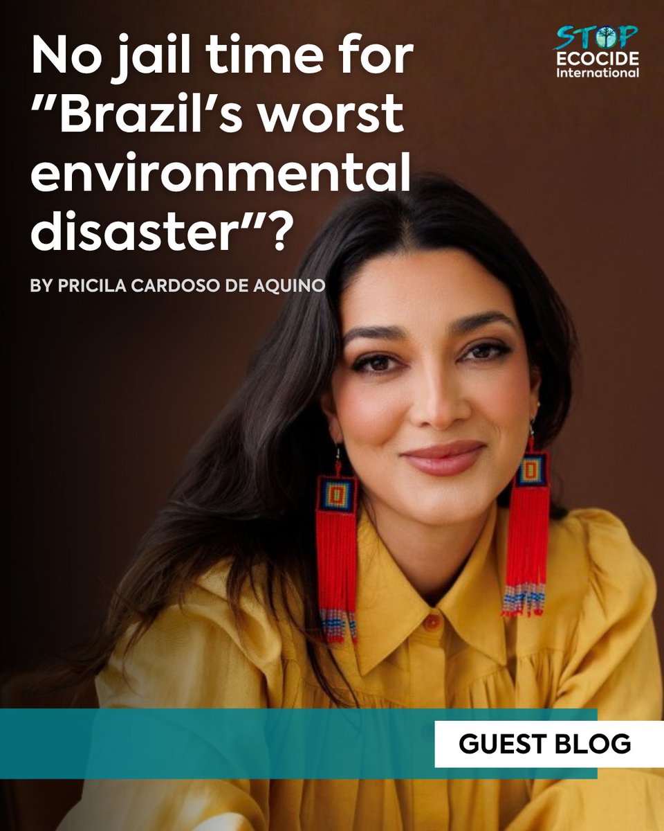 Stop Ecocide International tweet media
