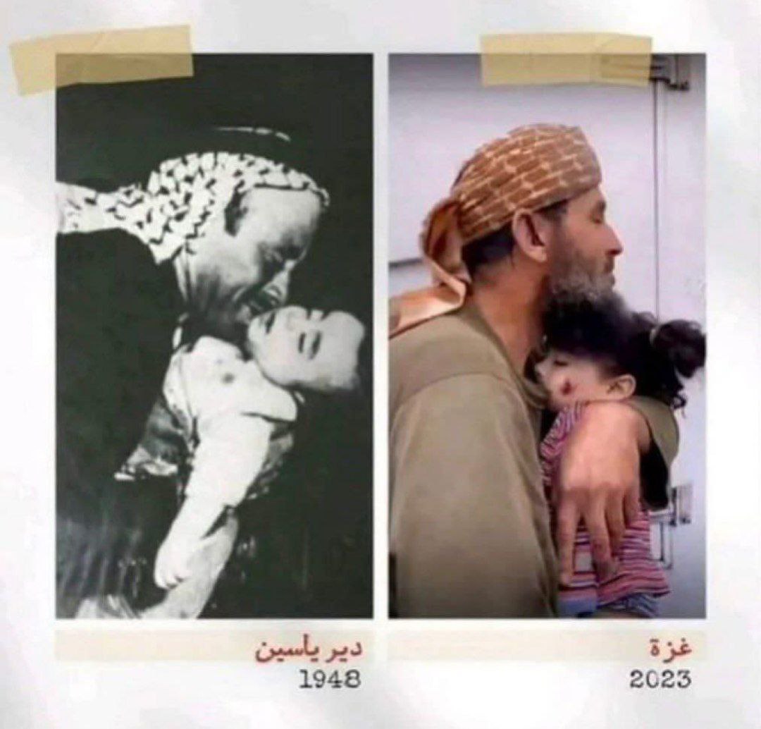 mazen00711's tweet photo. ولم يتوقف إجرام اليهـ.ـود بعد! ☠️🇮🇱 https://t.co/7JrbHOgkoG