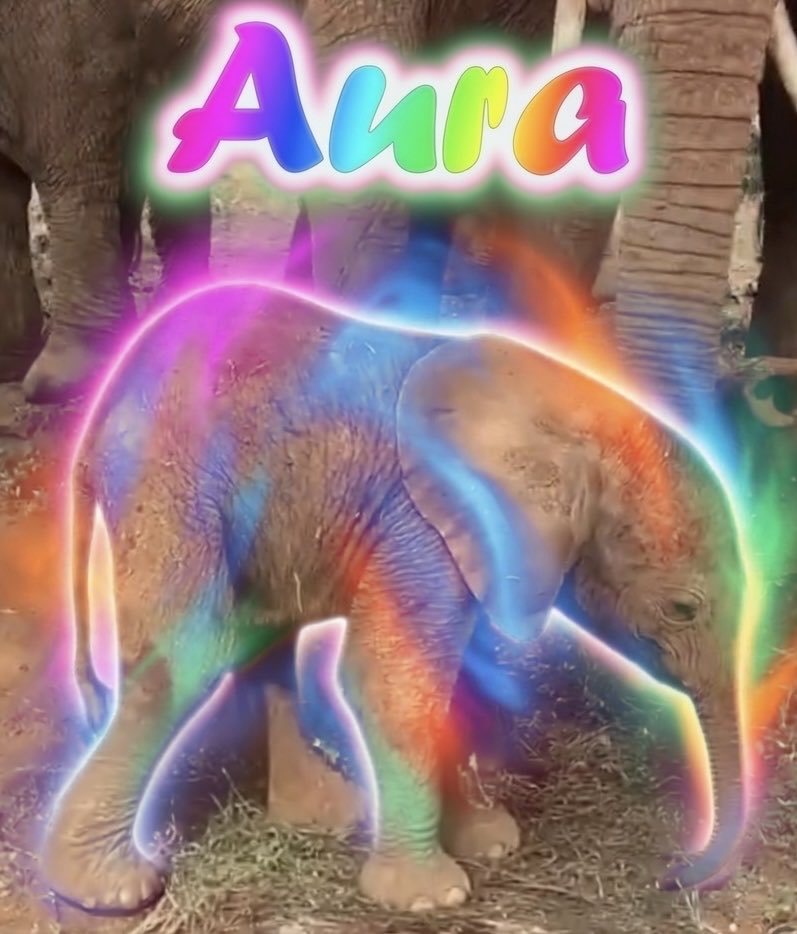 Grok1_eth's tweet photo. Should update Dexscreener and X community banner to something more bright and lively https://t.co/lPftnpNEf6