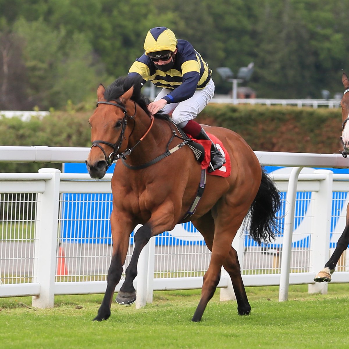 Racing Post tweet media