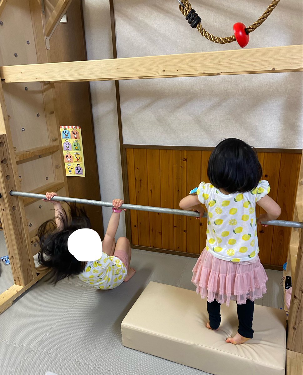 知育うんてい オプションで鉄棒つけてて、これ横に広いから姉妹同時に