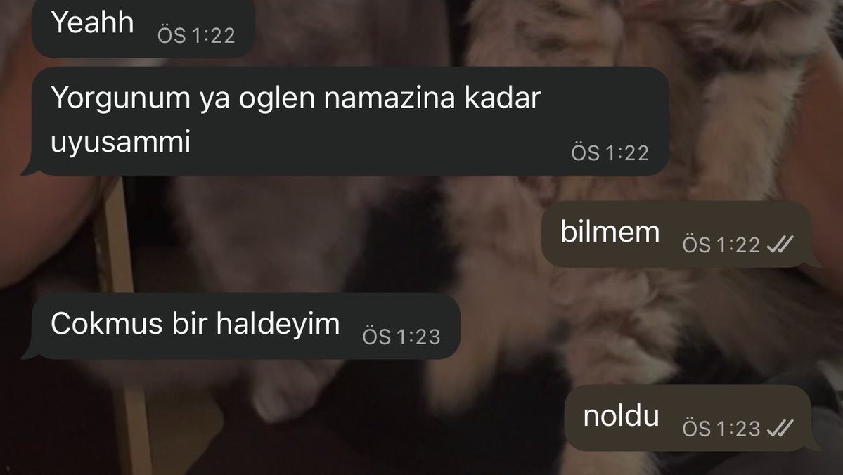 sıkıntisiz tweet media