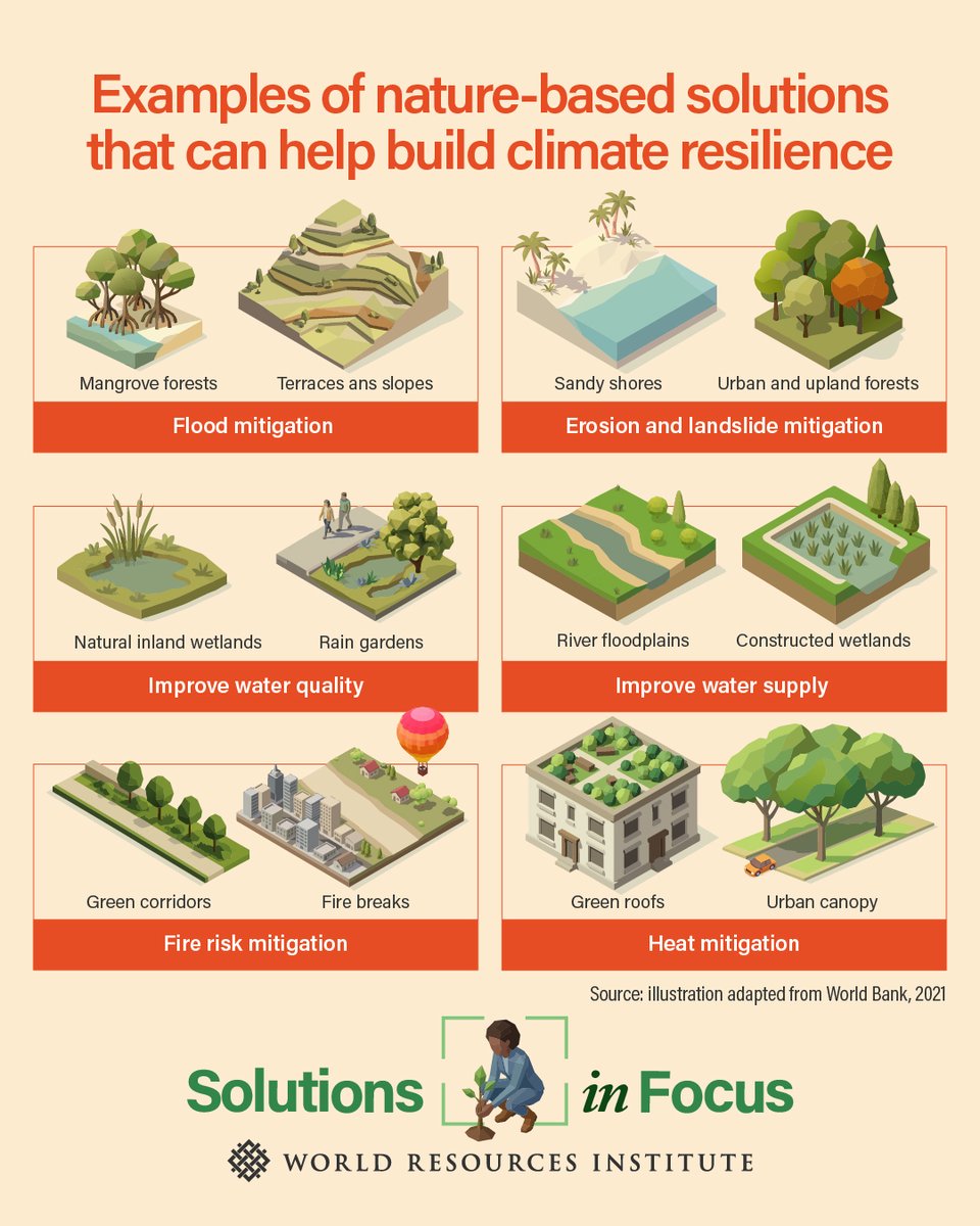 World Resources Institute tweet media