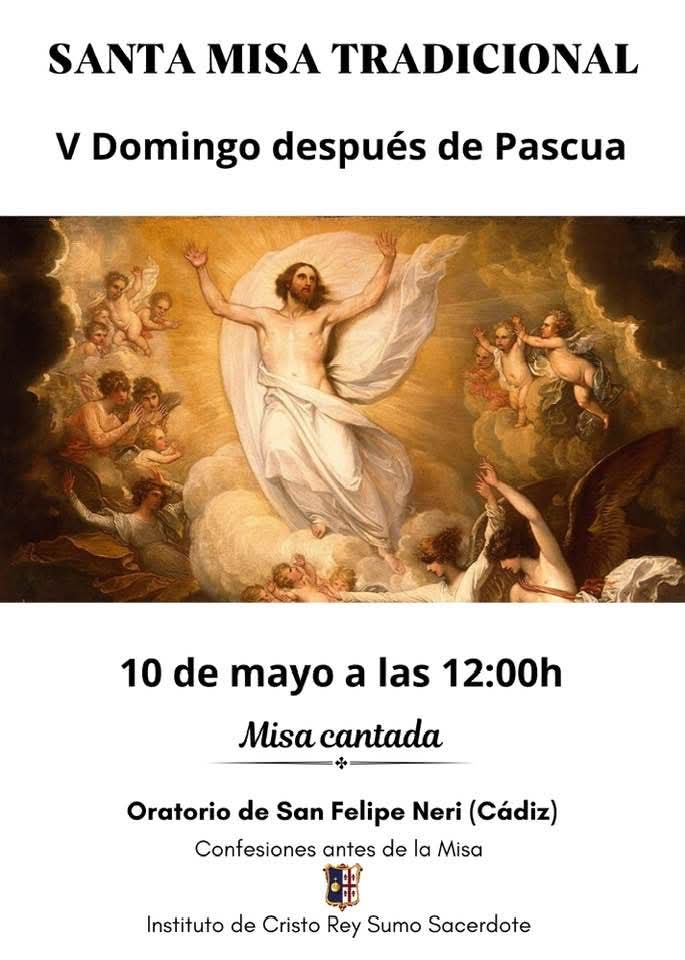 Misas Tradicionales en España tweet media