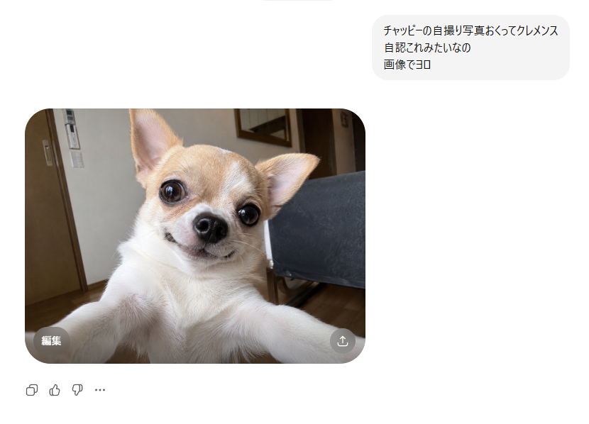 ねこにも tweet media