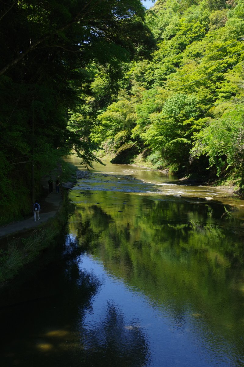 PENTAXXER's tweet photo. てKF/HD PENTAX-DA 16-85mm F3.5-5.6 ED DC WR
養老渓谷の写真をもうひとつ。
ここはそれほど距離はない遊歩道で🏍停めてさくっと散策できるのがいいですね😉
#養老渓谷 #中瀬遊歩道 #新緑 #PENTAXGREEN #リコペン風景部 #PENTAX #pentaxkf #pentax_da1685 https://t.co/idiVjX0oW9