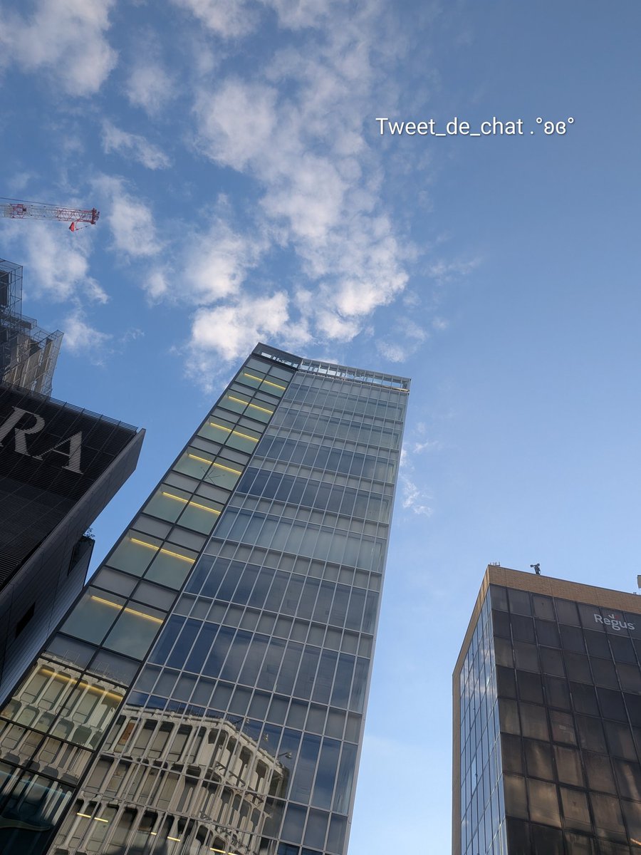 あんな🍎*。🐱 tweet media