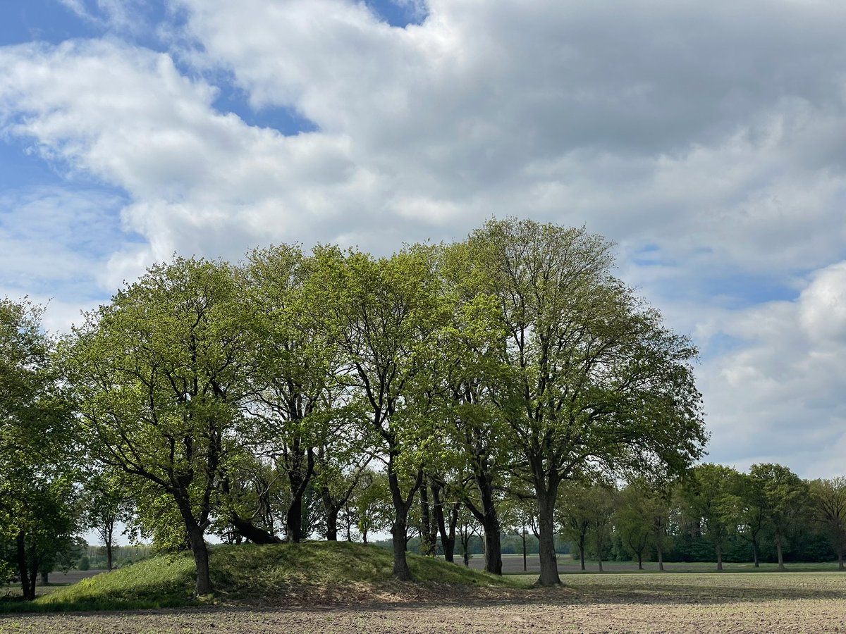 HetKunMinder's tweet photo. Eppiesbergje of Eppies Bargie, een grafheuvel bij Odoorn uit de Bronstijd. De naam Eppies Bargie is zeer waarschijnlijk ontleend aan een voormalige eigenaar van de aangrenzende gronden, ene Egbert (Eppie) Vos die zich op de heuvel zou hebben (laten) verhangen. https://t.co/XKayANCarB