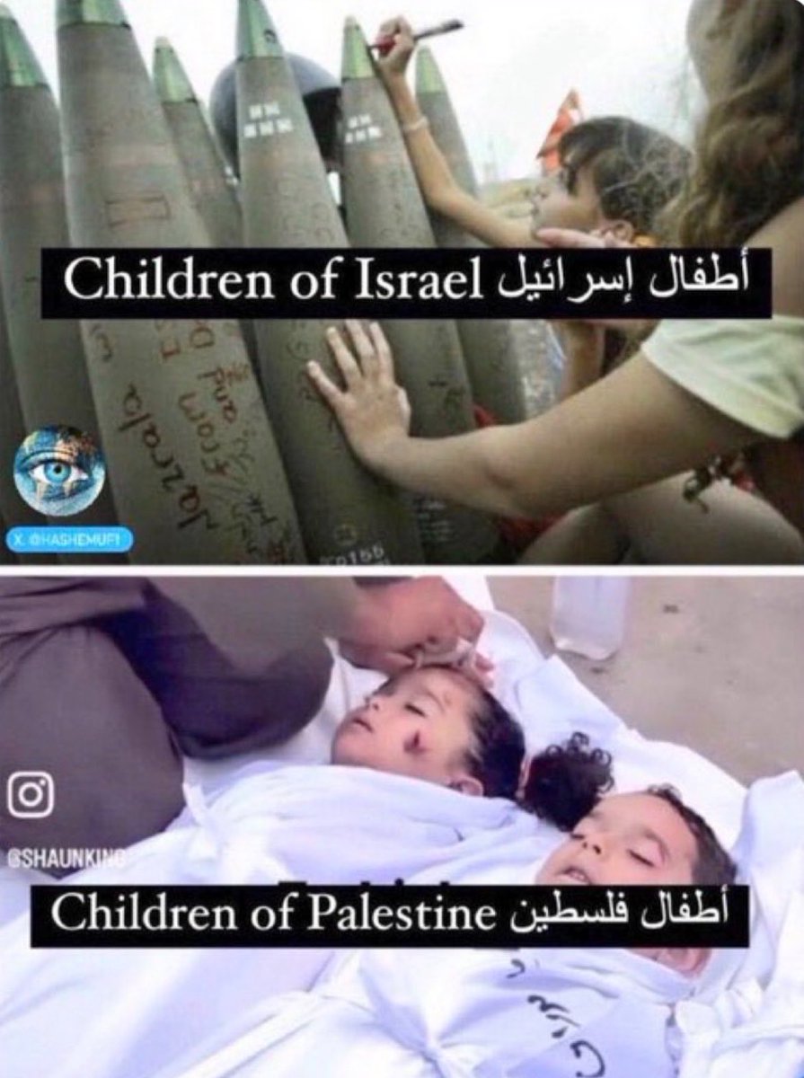 Palestinienne🇵🇸🇾🇪🇮🇷🇩🇿🔻 tweet media