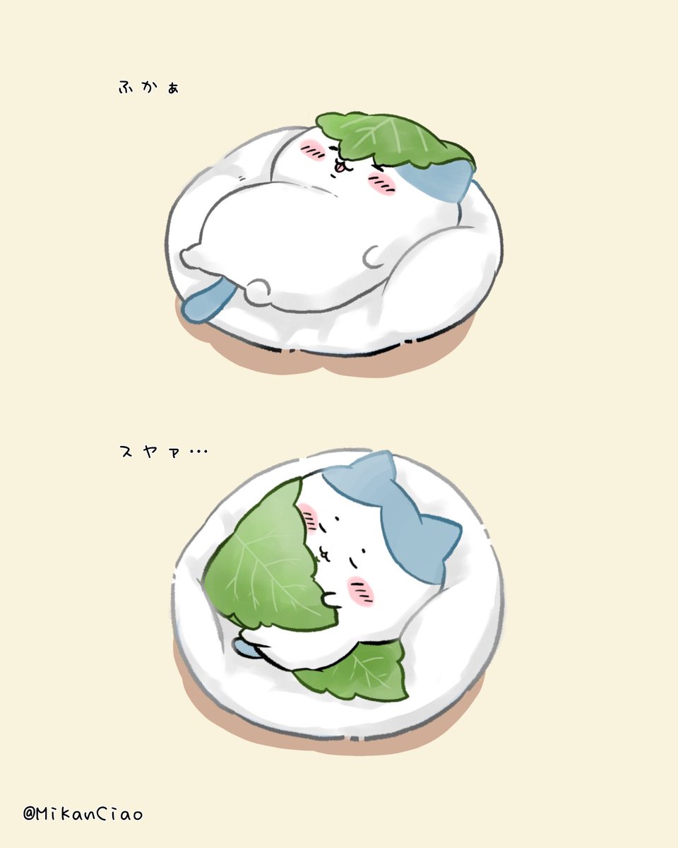 こつぶ tweet media