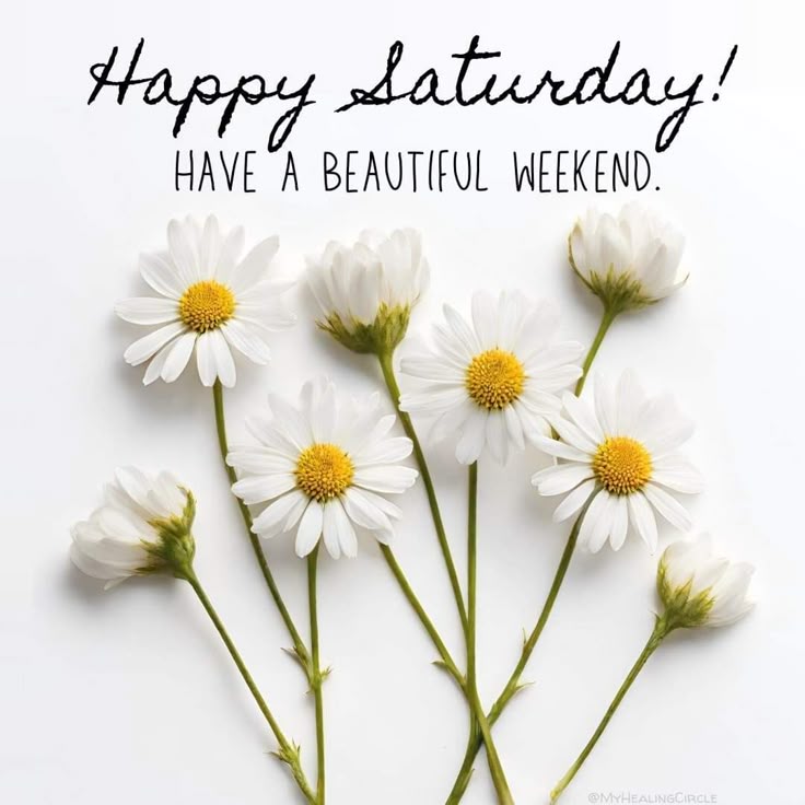 FlaviaMiatto's tweet photo. @manuelamariazbb @teeni67 @Julianna_BJ @monikaug22 @DoleschalBarbel Happy Saturday my fabulous Ladies! 
Hope you've had /are having a marvellous day n' wish you all a great weekend! 🎉😁 
Here all good! Taking care of few things at home n' will go out with hubby n' my best friend this evening!
See y'all here on #TweetVille https://t.co/raSyLdEp4x