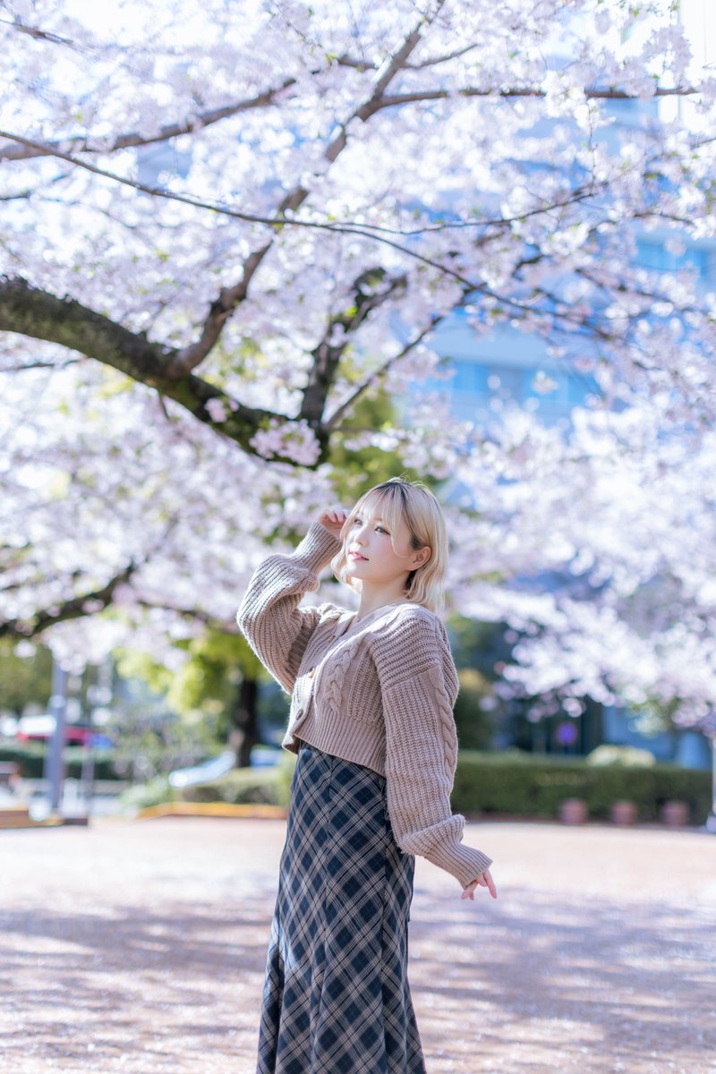 148せんち(あや) @pinkudesu08 #クロス展6 #つんポ