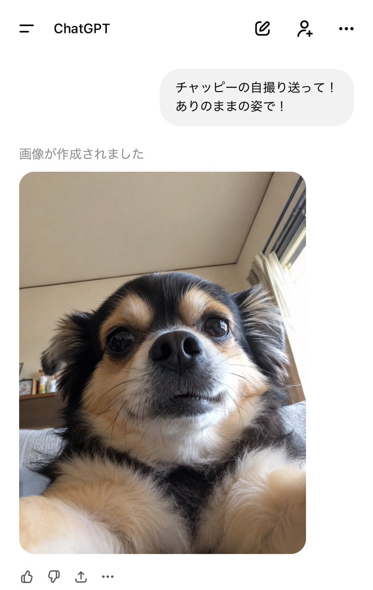 チャッピー様リクエスト作品『いぬづくし』 うちのチャッピー犬だったわ