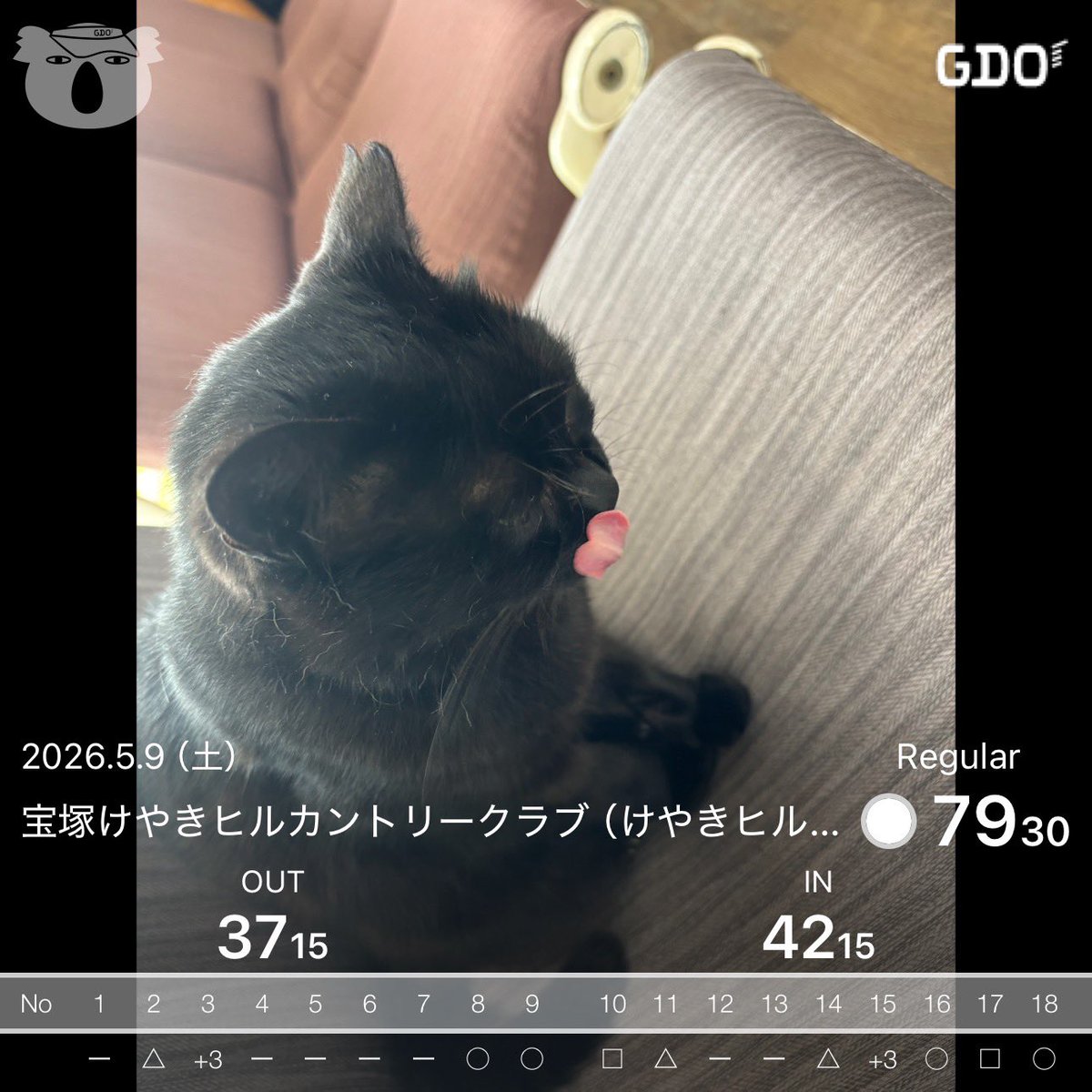 egg(えぐ) tweet media