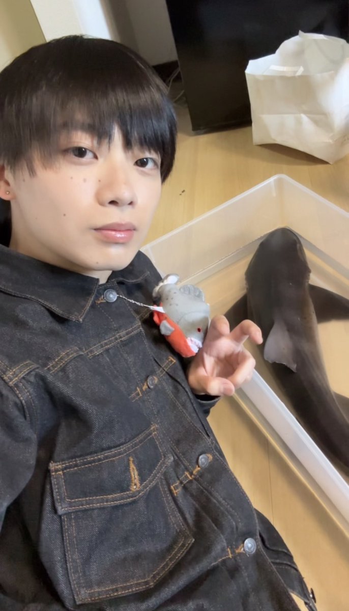 豆腐とお麩🍄³ tweet media