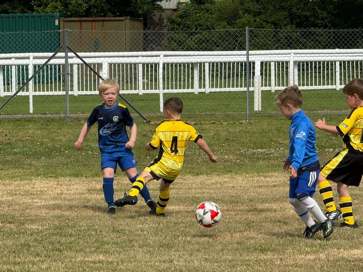 Buckland Athletic FC tweet media
