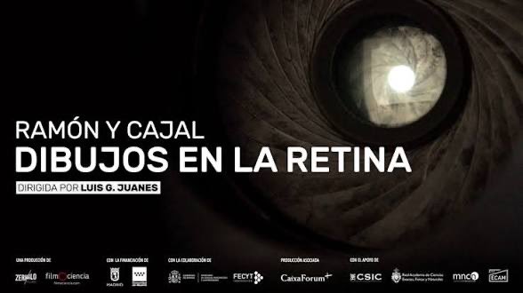 Fernando de Castro S tweet media