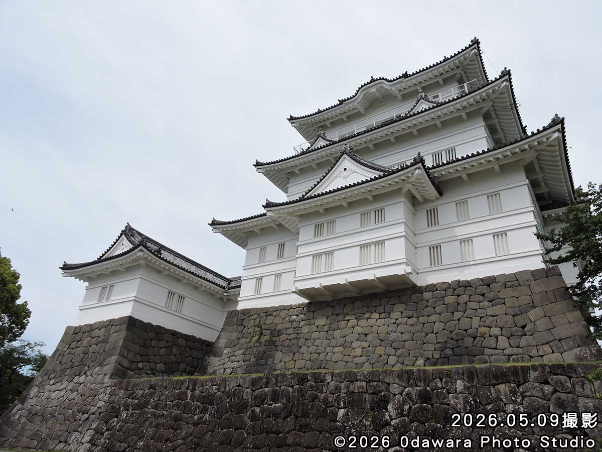 祝20周年!コスプレイベント小田原写真館 tweet media
