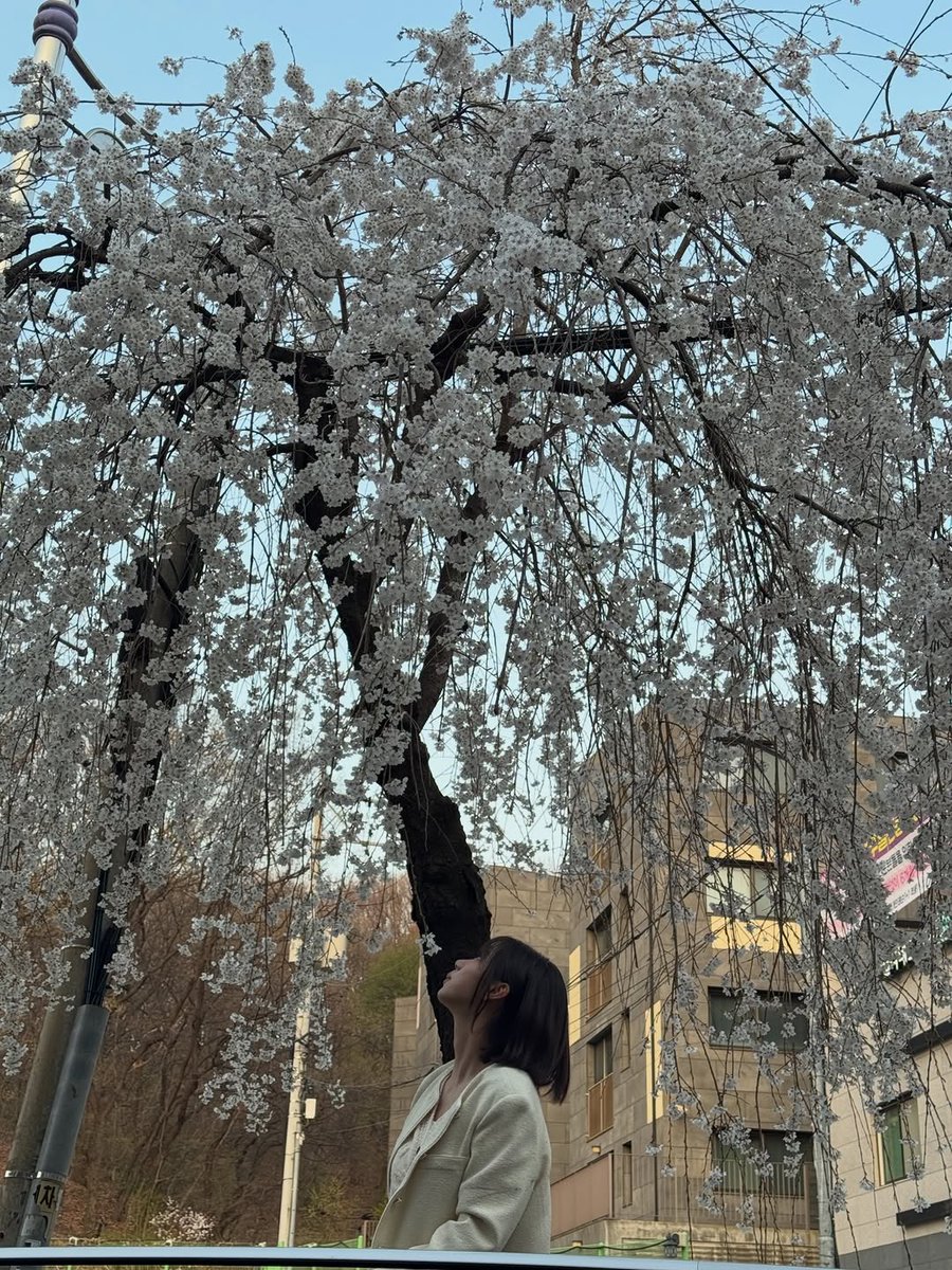 eleyeoreum's tweet photo. https://t.co/Y5KkxskhI2