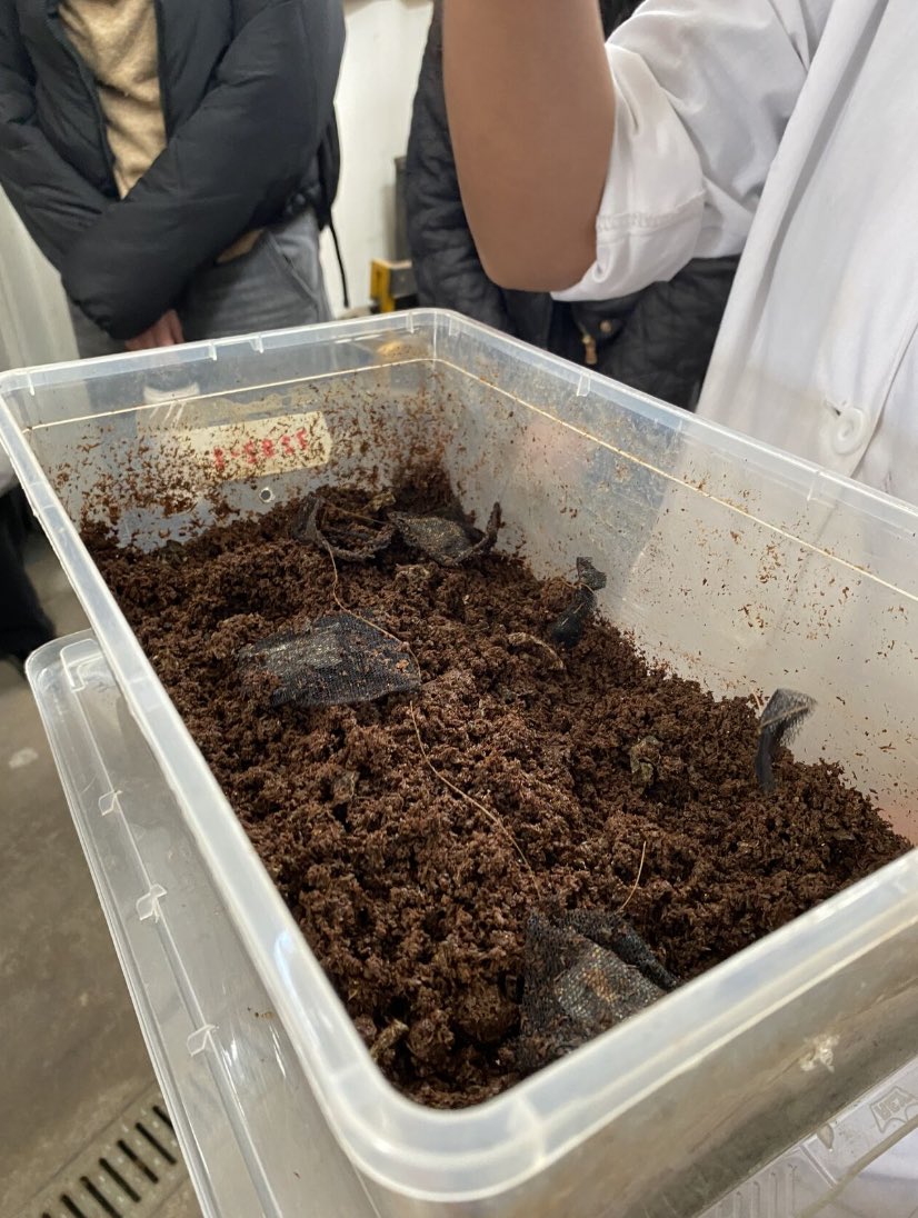 LABENCHILE's tweet photo. 🎓 Estudiantes de Ingeniería Civil en Ambiente de la @usach visitaron @LABENCHILE para profundizar en la Ley REP y certificación de materiales compostables.

Un paso clave para conectar la formación académica con los desafíos reales de la economía circular. ♻️

#EconomíaCircular https://t.co/JJgHQLMd3y
