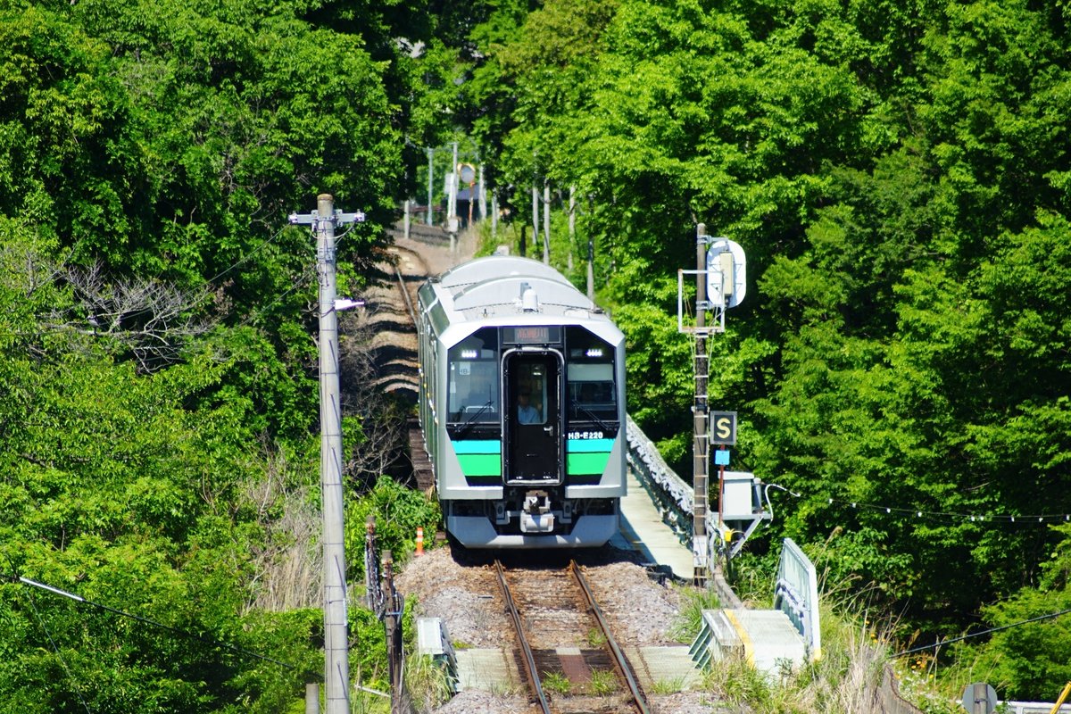 ron3104's tweet photo. ＃八高線　#新緑　#鉄道写真
新緑と八高線をテーマに撮ってみました📷 https://t.co/MoVwGwt1OU