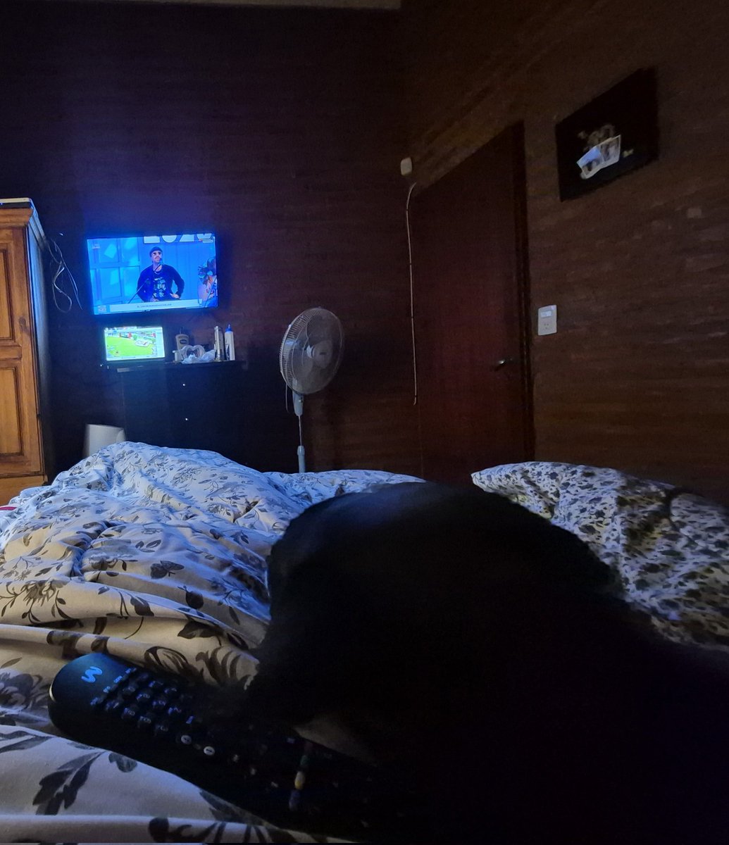 nachofesto's tweet photo. @unsabadomejor full cama... frío y lluvia... nadie nos saca de la cama @polloalvarezok y @tatiroust https://t.co/OtowUiSz7f