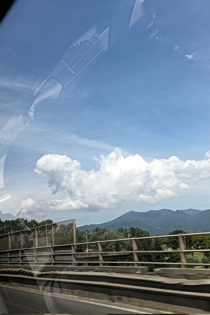 killmyromance_'s tweet photo. Un barboncino/pecorella tra le nuvole ☁️ https://t.co/kqnsSm6GRP