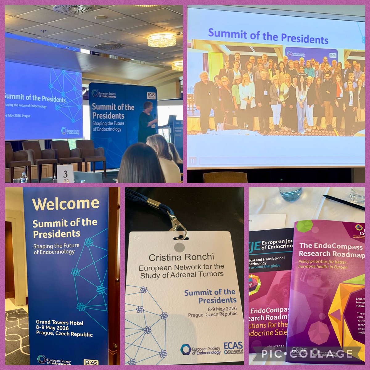 ENSAT_news's tweet photo. Very productive work at the @ESEndocrinology Summit of the Presidents with our own President @CryRonchi representing #ENSAT. A great initiative by @EsePresident and the team! #becausehormonematter #advocate #EndoCompass #endocrinology #future https://t.co/IGvhU50dbD