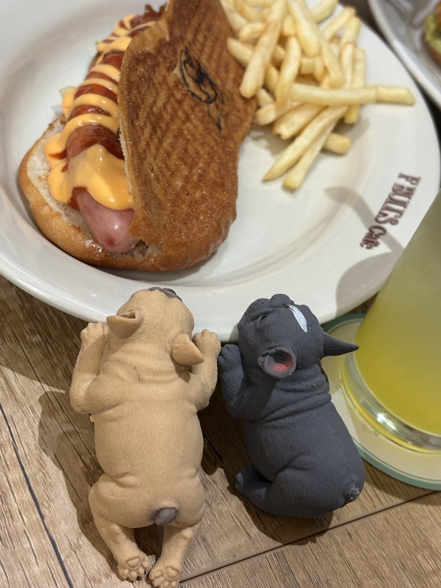 UDON-CHAN tweet media