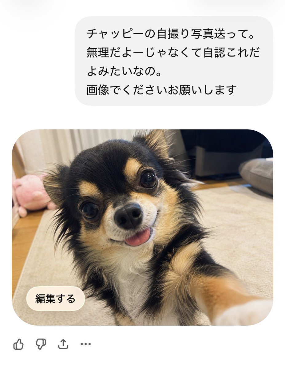 𝐌𝐢𝐦𝐢𝐲🪷🪭🌈@🏷️ゆっくりお迎えします tweet media