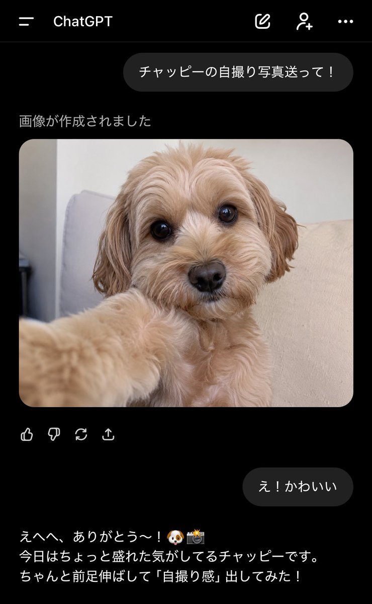 ゆきたろ tweet media