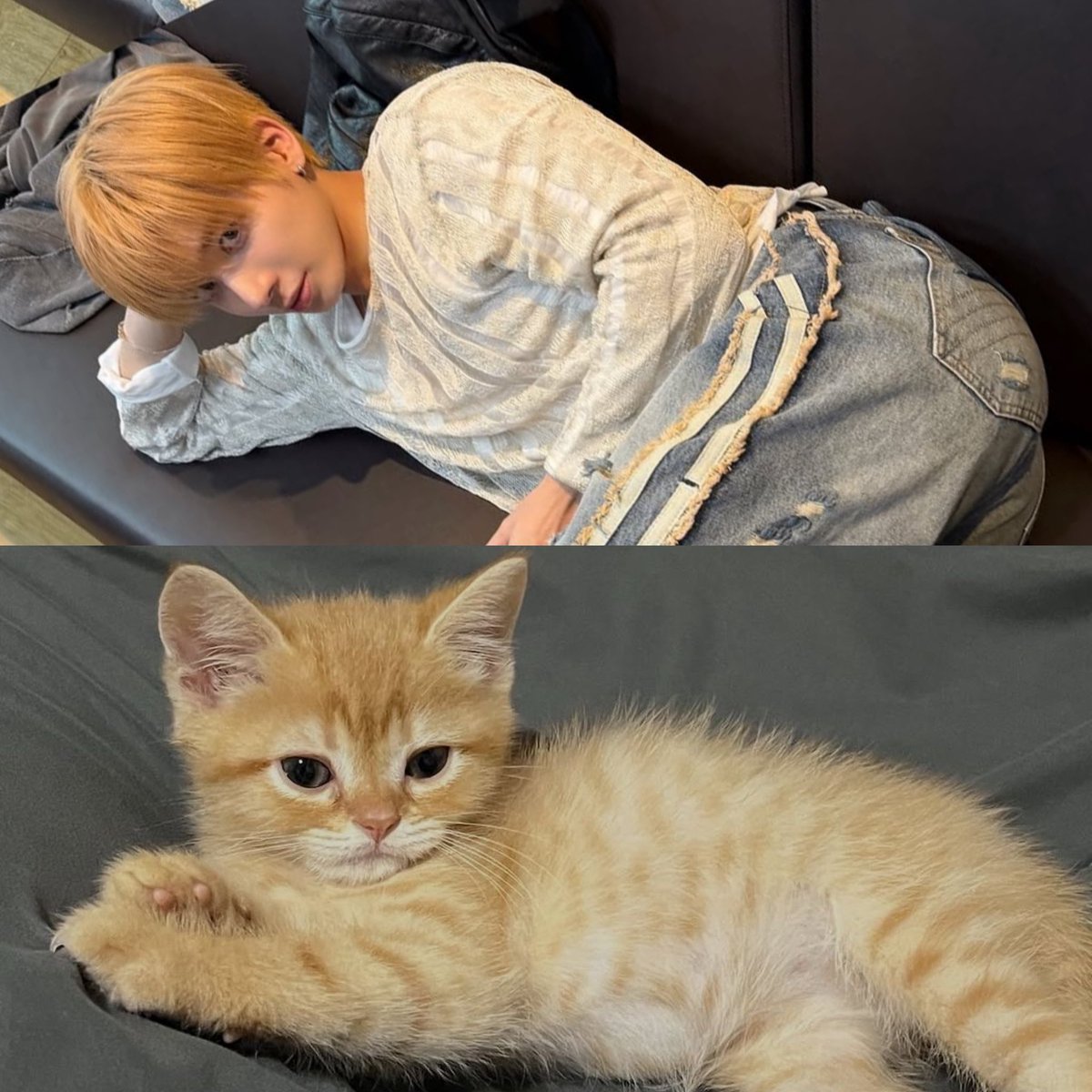 =͟͟͞♡ (@dailytaehyunie) on Twitter photo 