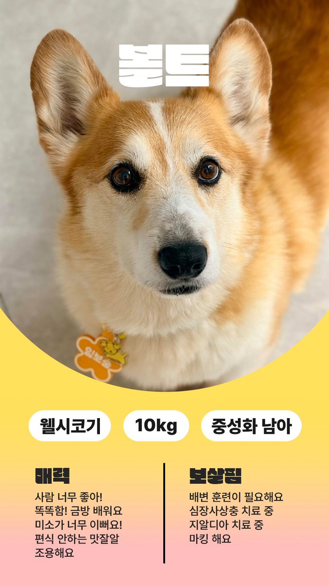에리야(가족 찾는 볼트) tweet media