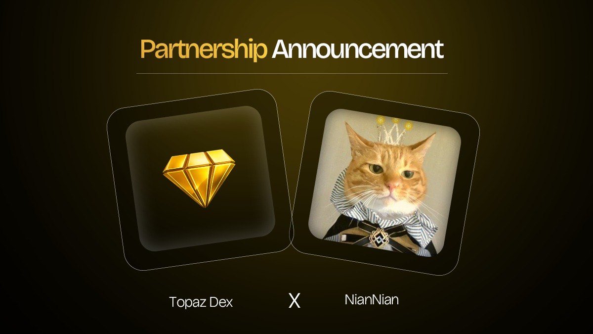 TopazDex's tweet photo. Happy to welcome @NiannianCTO_BNB as our new partner. 

NianNian is a unique BNB Chain memecoin focused on education and charity, and a pioneer in bringing Giggle Academy into real-world settings.

To date, NianNian has reached 300 locations across 38 countries and contributed 500+ educational stories.

At Topaz, we’re building vote-driven liquidity infrastructure through gauges, emissions, fee distribution, and market based liquidity coordination.

NIANNIAN will be listed on Topaz with LP gauge support, helping deepen liquidity and improve incentive coordination around the market.
