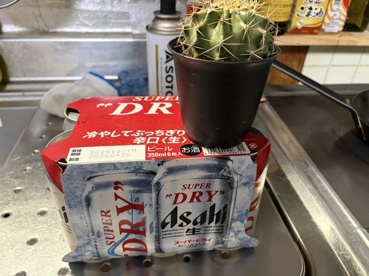 今日のギャランティ🙏
