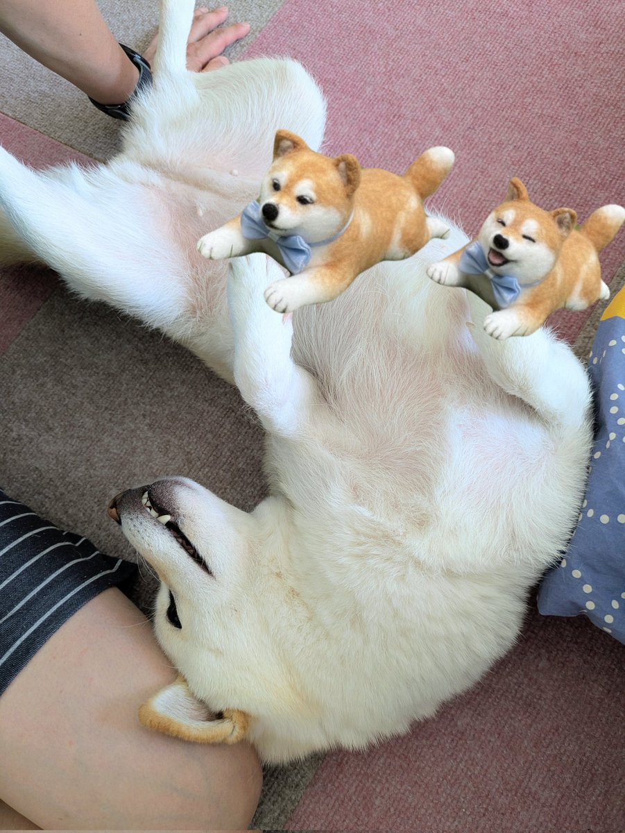 ❤️ももさま❤️ Momo🔥