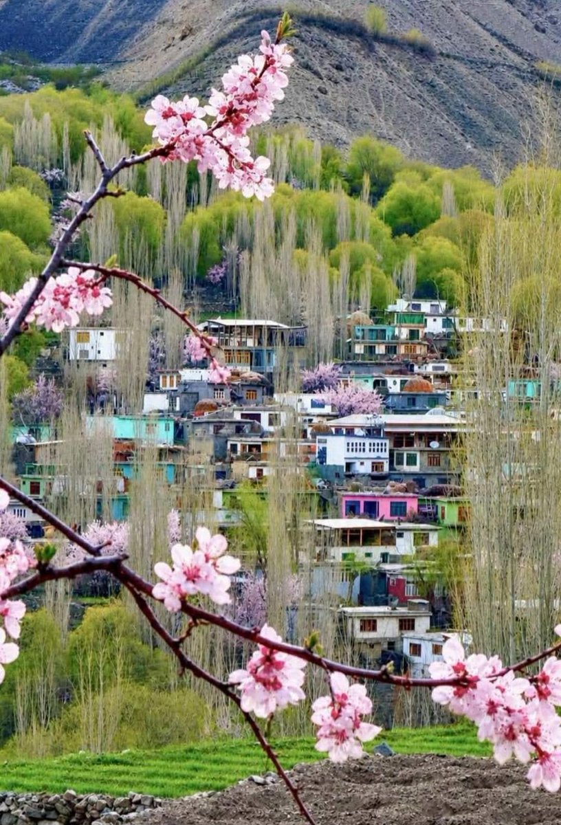 Alpine_Pakistan's tweet photo. Beautiful Gilgit-Baltistan https://t.co/hQgDwDYq0M