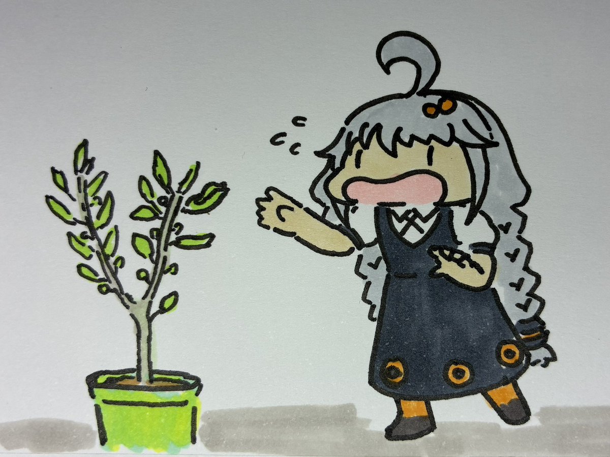 ポンカンくんの芽かきをすっかり忘れて慌ててやり方を調べる