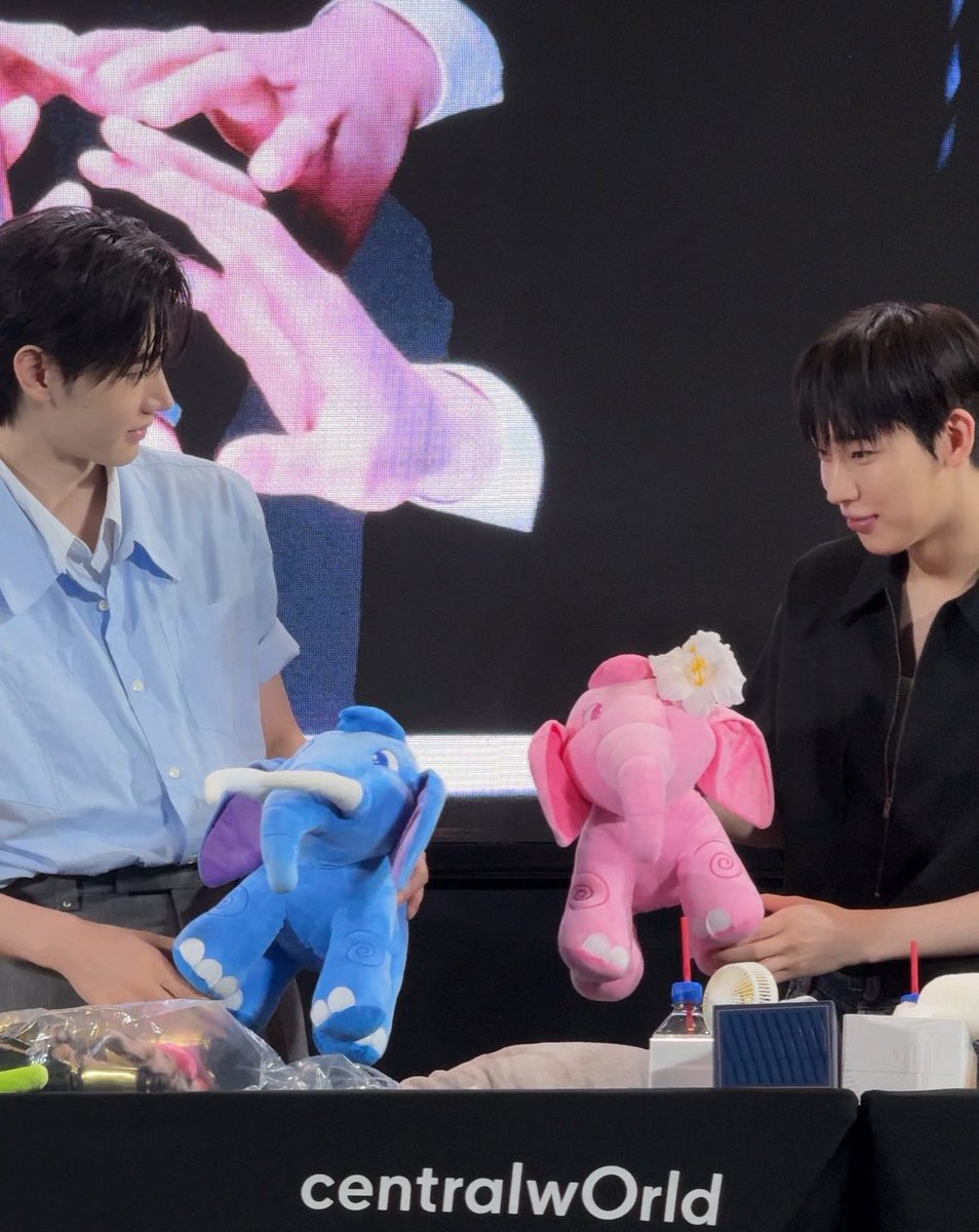 beanoo tweet media
