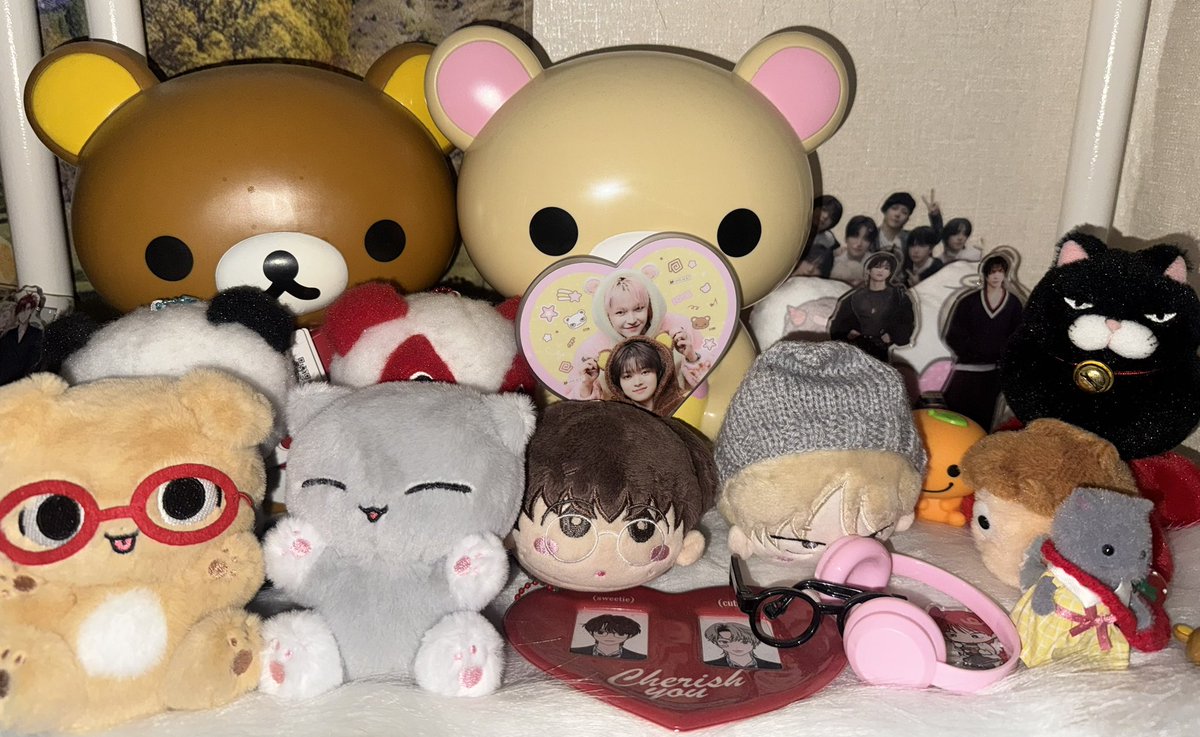 umeshuki's tweet photo. 멍앤냥 😍🫶 https://t.co/GIQBi3qO8L