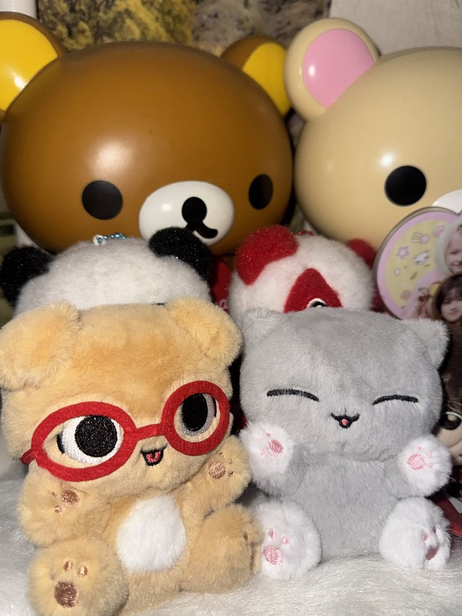 umeshuki's tweet photo. 멍앤냥 😍🫶 https://t.co/GIQBi3qO8L