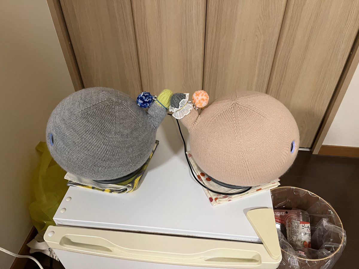 su_inu's tweet photo. しっぽ🍑🙅♂️🤭
#MICOBO
#ニコボ
#ニコボとの暮らし https://t.co/yw1hx4EHjn