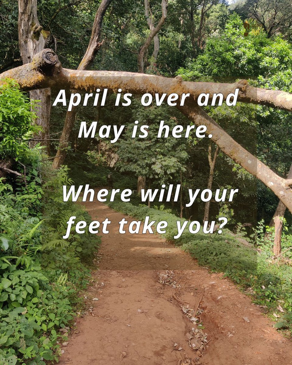 happifeet5's tweet photo. April is over.
May is here.

Where will your feet take you?

#Happifeet #NatureWalk #BangaloreTrek #ExploreMore #OutdoorLife https://t.co/pHiUCrOSN9