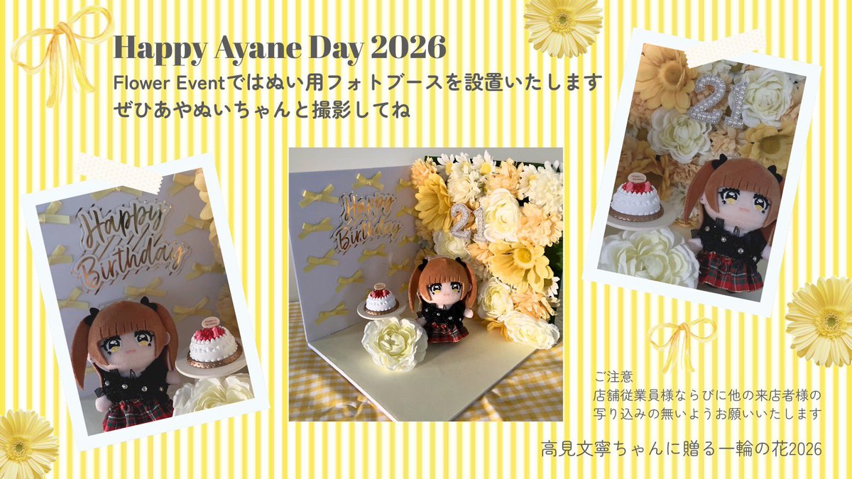 高見文寧ちゃんに贈る一輪の花🌼2026 tweet media