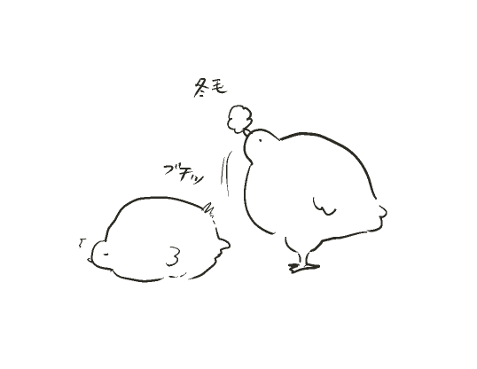鳥の絵 